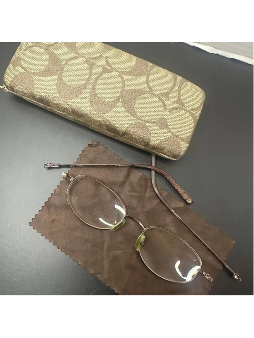 Coach 108 caitlan